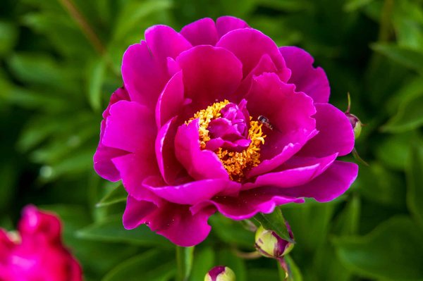 Come si può misurare l'impatto ambientale di un prodotto attraverso l'analisi del ciclo di vita (LCA)?